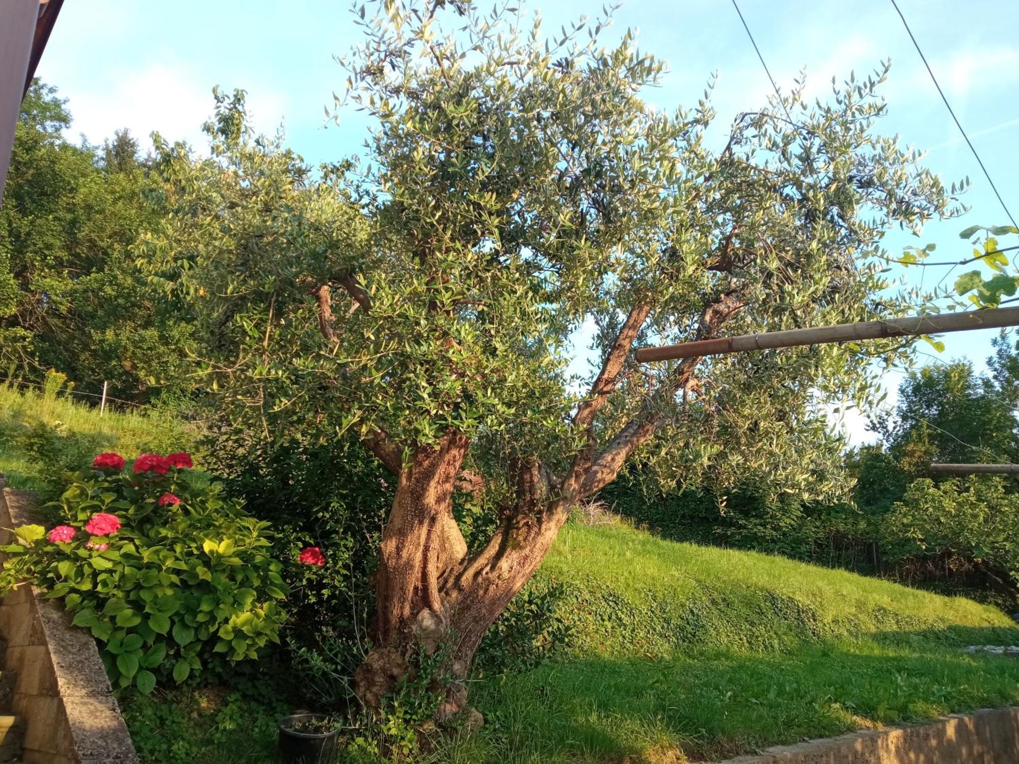 Bergamo Bnb Villa di Serio Exterior foto